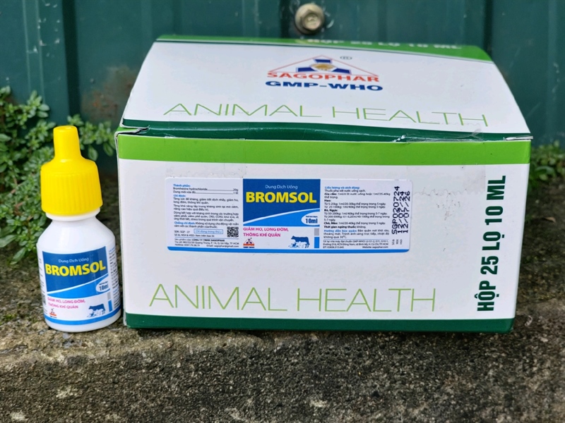 Sagophar Bromsol 10ml oral - Giảm ho, long đờm, thông khí quản - Lọ - Ảnh 3