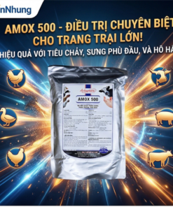 Á CHÂU AMOX 500 - 1kg - Gói 10in1