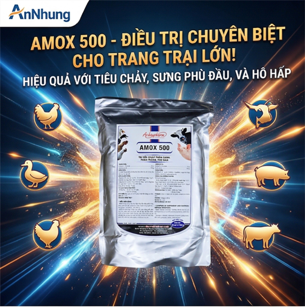 Á CHÂU AMOX 500 - 1kg - Gói 10in1
