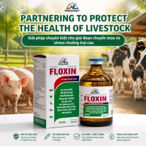 PROVIVET - FLOXIN - FLOR 50% LA 100ml - tác dụng 72h-96h/ mũi - APP, PPRS, LMLM,..... - Chai