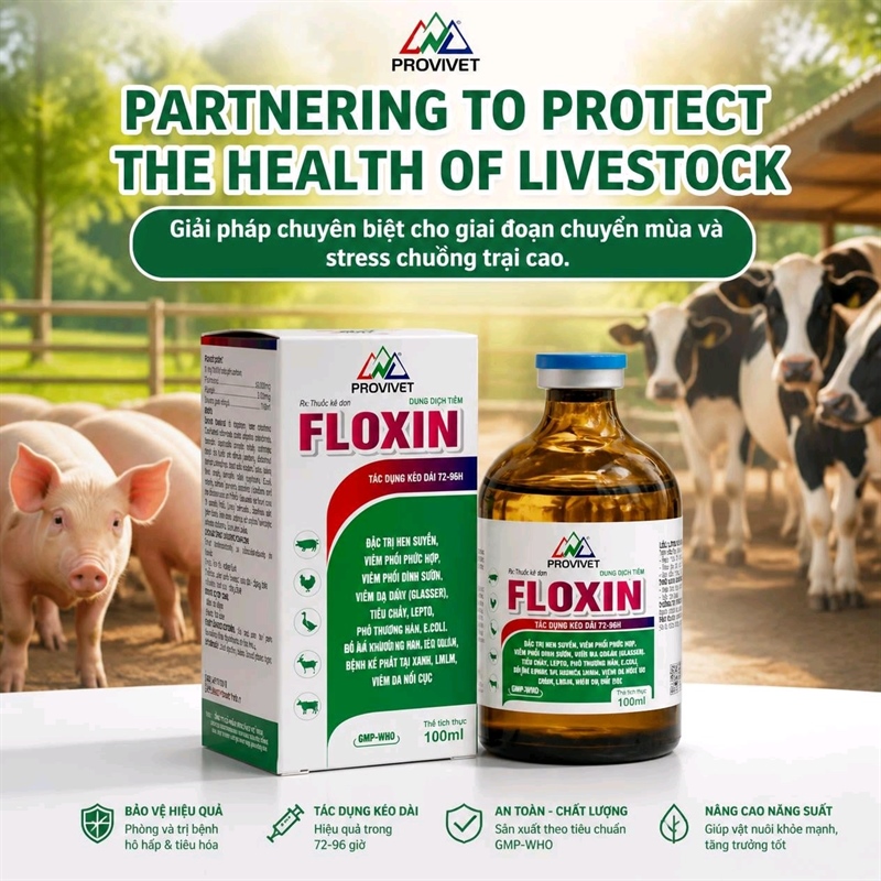 PROVIVET - FLOXIN - FLOR 50% LA 100ml - tác dụng 72h-96h/ mũi - APP, PPRS, LMLM,..... - Chai