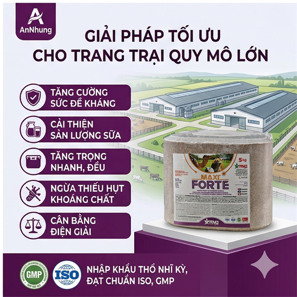 Đá liếm FORTE MAXIFORTE BLOCK ( đá quế vuông nâu)- viên 5kg - Thổ Nhĩ Kỳ - Ảnh 3