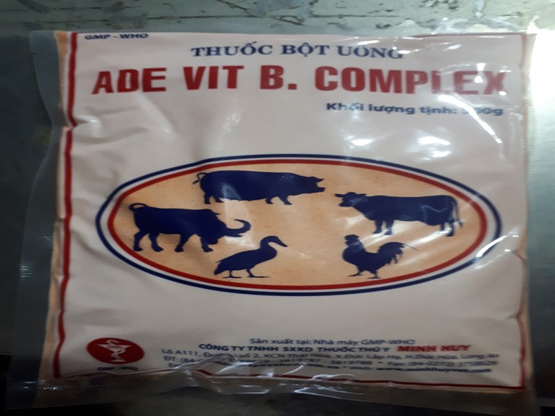 Minh Huy ADE VIT Bcomplex 500g - Gói 500gr - Ảnh 2