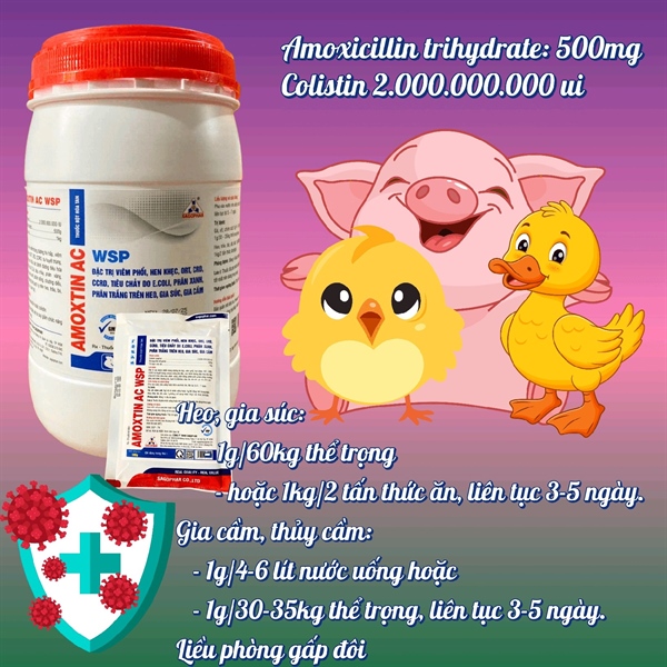 SAGOPHAR AMOXTIN 50% AC WSP XANH - 1kg - Amox Colis (N) - Lon 10in1 - Ảnh 2