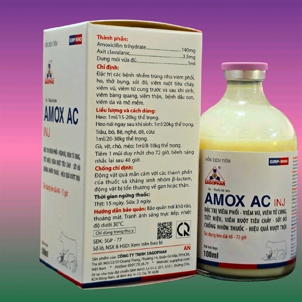 SAGOPHAR AMOX AC (Axit clavulanic - Chống lờn thuốc) - TRẮNG (N) - CHAI 100ML - Ảnh 4