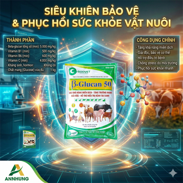GOOVET B GLUCAN 50% 1KG - Gói 5in1