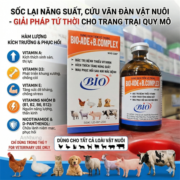 BIO ADE BCOMPLEX - Lọ - Ảnh 5