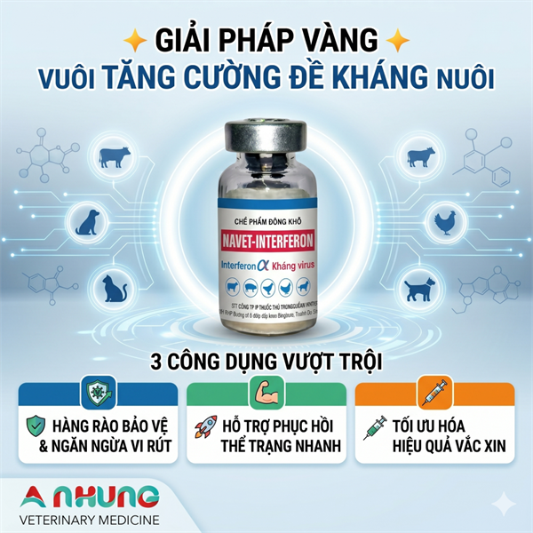 Navet Interferon - 1 Triệu UI - LỌ 1 Triệu UI - Ảnh 2
