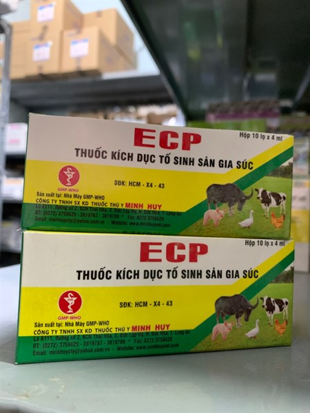 Minh Huy ECP (Estradiol) 4ml - Hộp 10 lọ - Ảnh 2