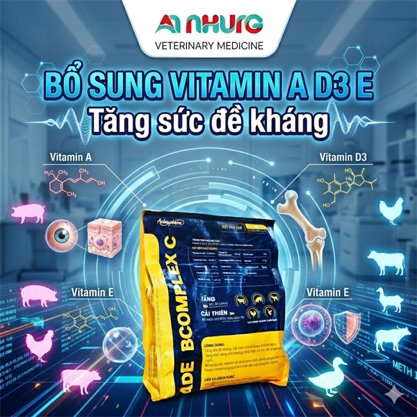 (CH56) Á CHÂU ADE BCOMPLEX C (Black Yelow) - Gói - Ảnh 4