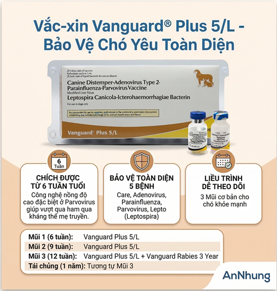 Vaccine Zoetis VanGuard Plus - 5 bệnh chó - Cặp 5Benh