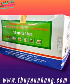 BM THIAMFENICOL - Bịch 10 gói