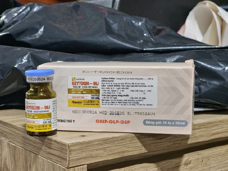 Á Châu Oxytocin 10ml - lọ - Ảnh 3