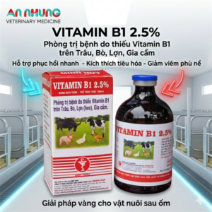 MINH HUY VITAMIN B1 (2.5%) 100ml - Chai 100 ml