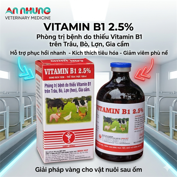 MINH HUY VITAMIN B1 (2.5%) 100ml - Chai 100 ml