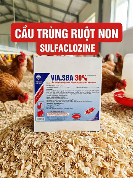 Via SBA 30% 100gr - Sulfaclozine - Gói 100gr - Ảnh 3