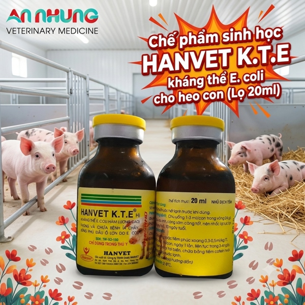 Kháng thể Heo - Hanvet KTE 20ml - Lọ 10 liều - Ảnh 2