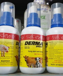 Alternative view of Hanvet Derma Spray 100ml - Lọ 100ml