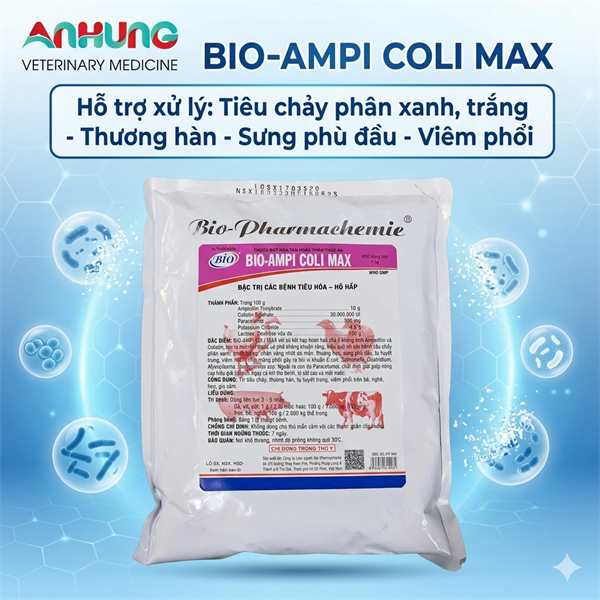 BIO AMPI COLI MAX - Gói - Ảnh 4