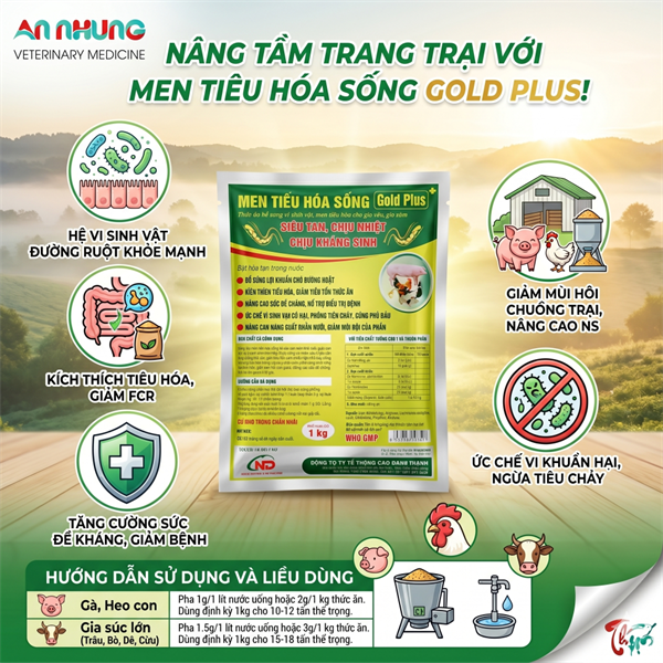 ND MEN TIÊU HÓA SỐNG - GOLD PLUS - 1kg - Gói 5in1 - Ảnh 2