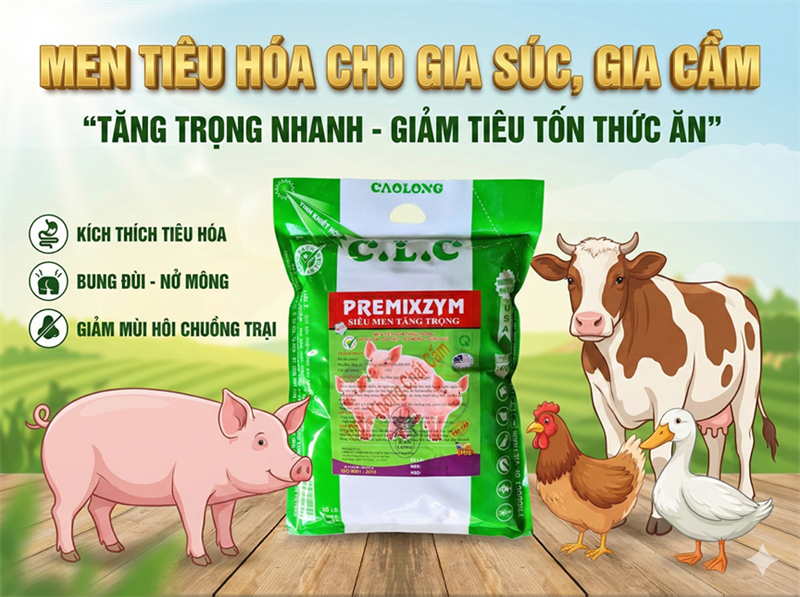 CAO LONG MEN SIÊU TĂNG TRỌNG - Gói 1Kg