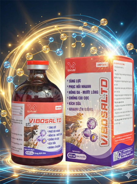 VIBOSAl TD 100ml - Chai 100ml