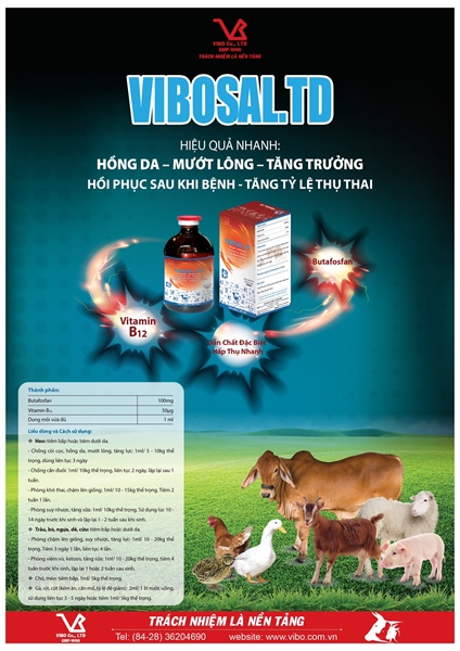VIBOSAl TD 100ml - Chai 100ml - Ảnh 2