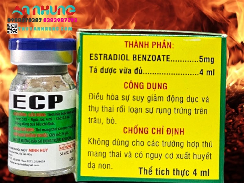 Minh Huy ECP (Estradiol) 4ml - Hộp 10 lọ - Ảnh 3