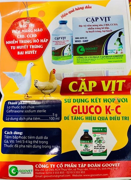 Goovet Cặp vịt 5g - hộp - Ảnh 2