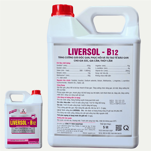 SAGOPHAR LIVERSOL B12 5 Lít - Can - Ảnh 3