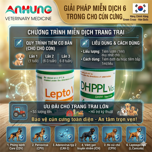 Vaccine Tigervet DHPPL - 6 bệnh Chó - Cặp - Ảnh 4