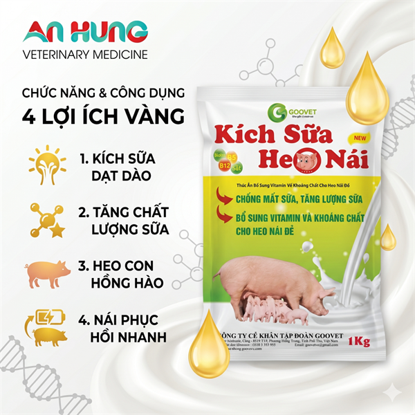 GOOVET KÍCH SỮA HEO NÁI 1kg - Gói 5in1 - Ảnh 3