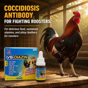 Alternative view of VB Diazin 10ml - Kháng thể cầu trùng - Lọ 10ml