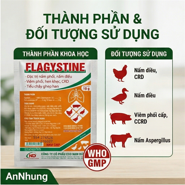 ND Flagystine 10gr (Nystatin + Chlotetra + Dexa) - Nấm diều, nấm phổi - Hộp 50 gói - Ảnh 3