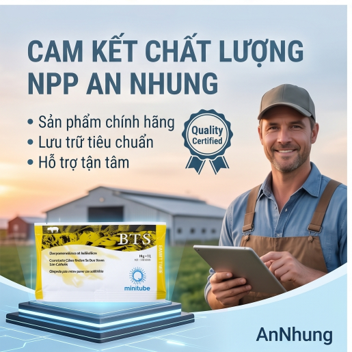 Môi trường pha tinh - Gói - Ảnh 4