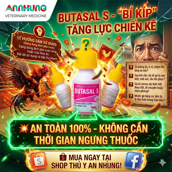 Sagopha Butasal S 10ml oral - Tăng lực gà đá - Lọ 10ml - Ảnh 3