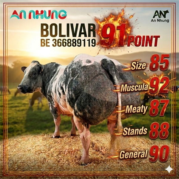 BBB BOLIVAR DE LA LANGHERODE - BE 366889119 - 91 Point - liều - Ảnh 5