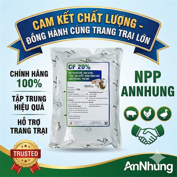 VB CF 20% - 1kg - CEFALEXIN 20% + SULFAMONO 10% - Khò Khè, Hen Suyễn, Bại Huyết - Phân nhớt vàng - Phù Mặt - Gói 10in1 - Ảnh 4