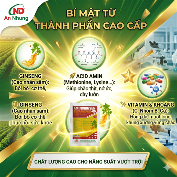 ND Cốm Nhân Sâm AMINOGINSEN (1Kg) - Hỗ Trợ Vỗ Béo, Nở Ức, Dày Lườn, Đẹp Mã Cho Gia Súc Gia Cầm - Lon 5in1 - Ảnh 3