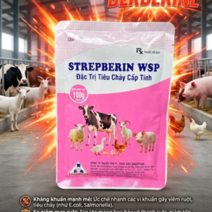 Alternative view of SAGOPHAR Strepberin 100g - Gói 100gr