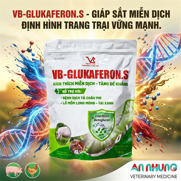 VB GLUKAFERON.S (Heo) 1kg - kháng thể Virus Interferon >70% - Dành cho Heo - 1 kg 10in1 - Ảnh 3