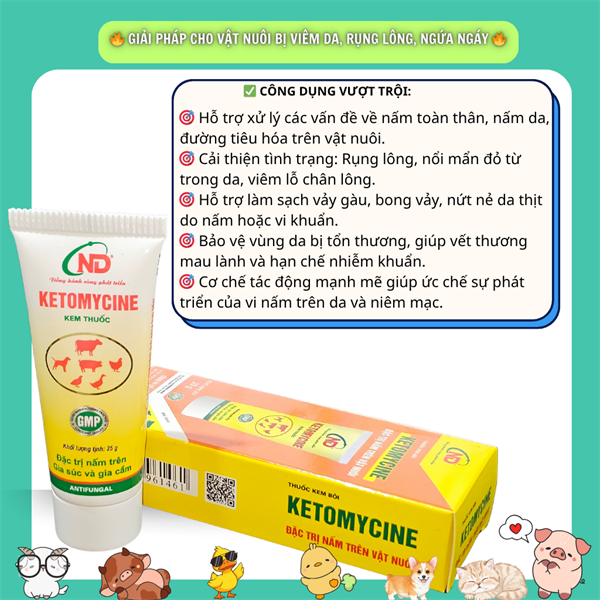 ND Ketomycin (Bôi Nấm) 25gr - Tuýp - Ảnh 3