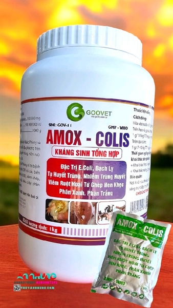 (CH56) GOOVET AMOX COLISTIN 1Kg - Lon 1kg - Ảnh 3