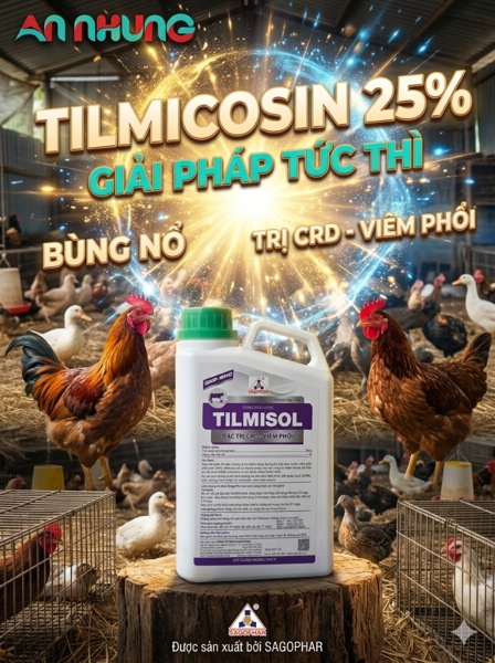 SAGOPHAR TILMISOL 25% - 1 LÍT - Can