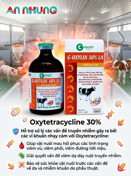 Goovet G - OXYLIN 30% LA 100ml - Chai 100ml - Ảnh 3