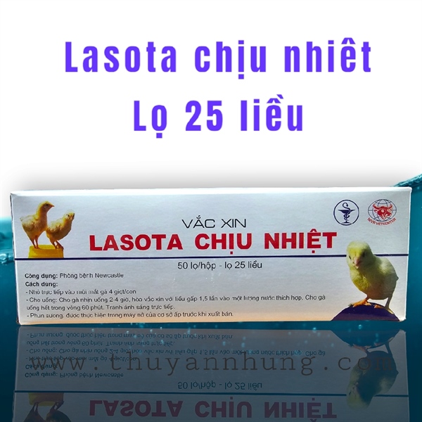 Lasota Chịu Nhiệt (25 Liều/lọ) - Hộp 50 lọ - Ảnh 2