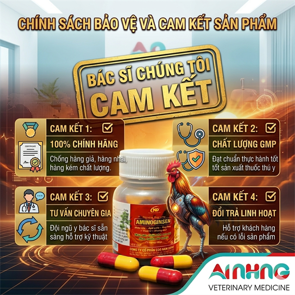 ND AMINOGINSEN - Viên Nang Tăng Lực Gà Đá - Sung Mãn, Bền Sức, Đỏ Tích, Đẹp Lông - (Hũ 15 Viên) - Hũ 15 viên - Ảnh 3