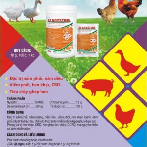 Alternative view of ND Flagystine 10gr (Nystatin + Chlotetra + Dexa) - Nấm diều, nấm phổi - Hộp 50 gói