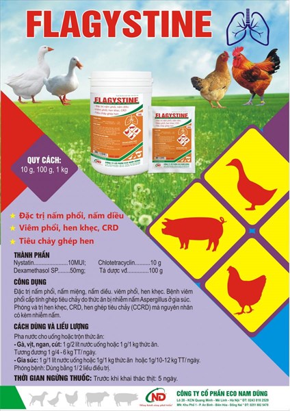 ND Flagystine 10gr (Nystatin + Chlotetra + Dexa) - Nấm diều, nấm phổi - Hộp 50 gói - Ảnh 2