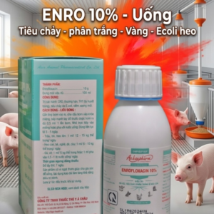 Á CHÂU ENROFLOXACIN 10% - 100ml - (vòi xịt) Oral - Chai